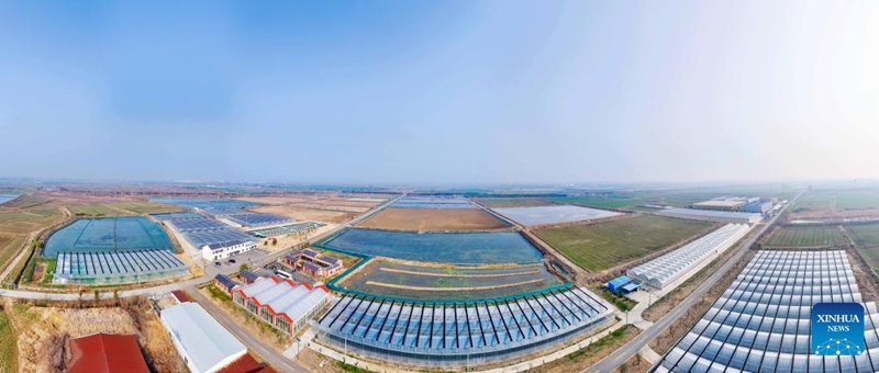 An aerial drone photo taken on March 8, 2025 shows a crayfish industry demonstration base in Xuyi County, east China's Jiangsu Province. As the temperature rises, crayfish are on the market in Xuyi County, a well-known crayfish production hub in China. In recent years, Xuyi has vigorously developed crayfish industry. The ecological breeding area of crayfish in the county has reached one million mu (about 66,667 hectares), and over 210,000 people are involved in the crayfish industry. Crayfish industry has become a boost to the local rural revitalization. Photo: Xinhua