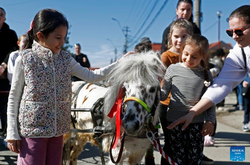 Children caress a pony during the celebration of the traditional Tudorita holiday, also known as the Easter of Horses, in Targoviste, Romania, March 8, 2025. Easter of Horses is celebrated by the local Bulgarian community and symbolizes the start of agricultural work in the new year. Photo: Xinhua