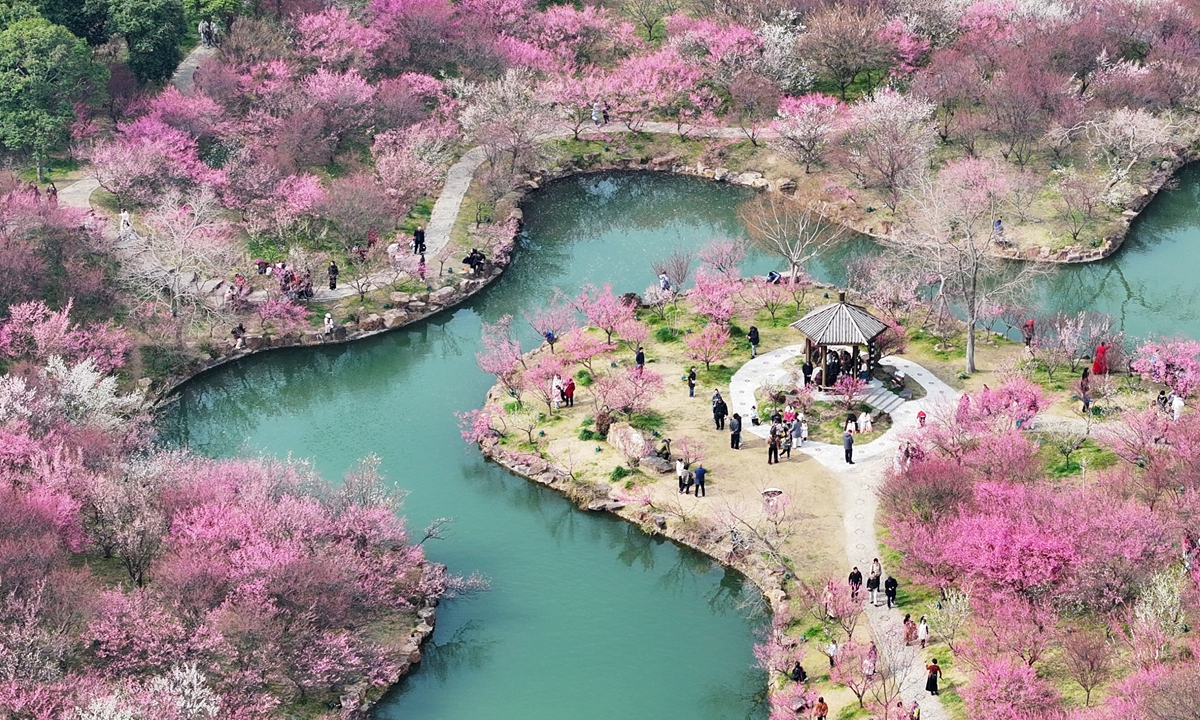 The Slender West Lake Scenic Area in Yangzhou, East China's Jiangsu Province is adorned with blooming flowers and green willows as spring arrives, attracting tourists to come and appreciate the blossoms and savor the delightful springtime on March 9, 2025. Photo: VCG