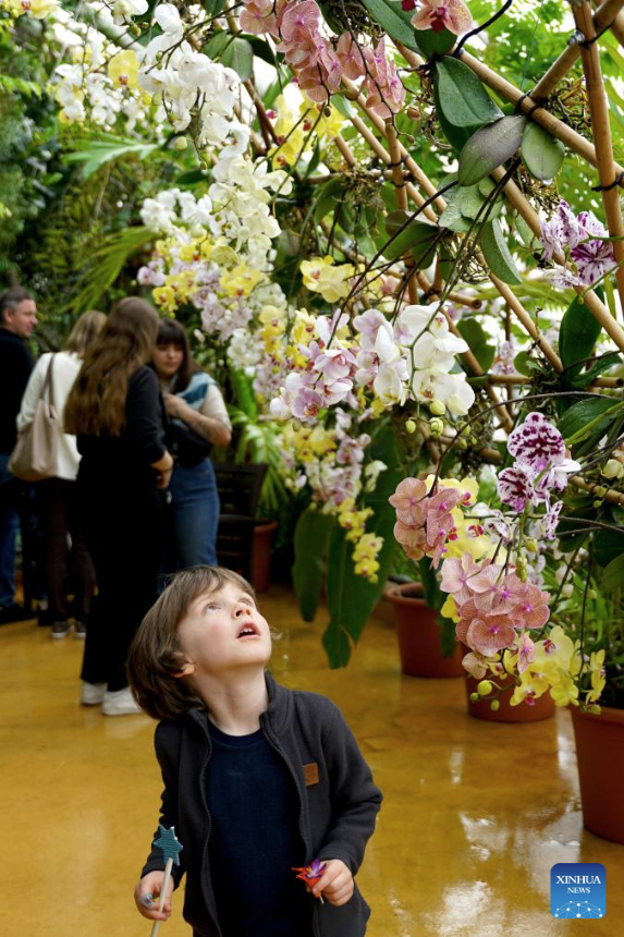 A boy looks at orchids on display at the Prague Botanical Garden in Prague, the Czech Republic, March 15, 2025.

An exhibition on orchids is held here from March 7 to 23. (Photo by Dana Kesnerova/Xinhua)
