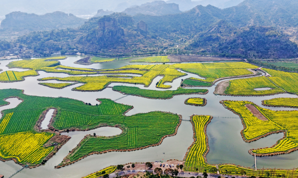 A golden sea of rapeseed flowers blankets over a thousand acres in Taizhou, East China's Zhejiang Province, on March 12, 2025. Photo: VCG