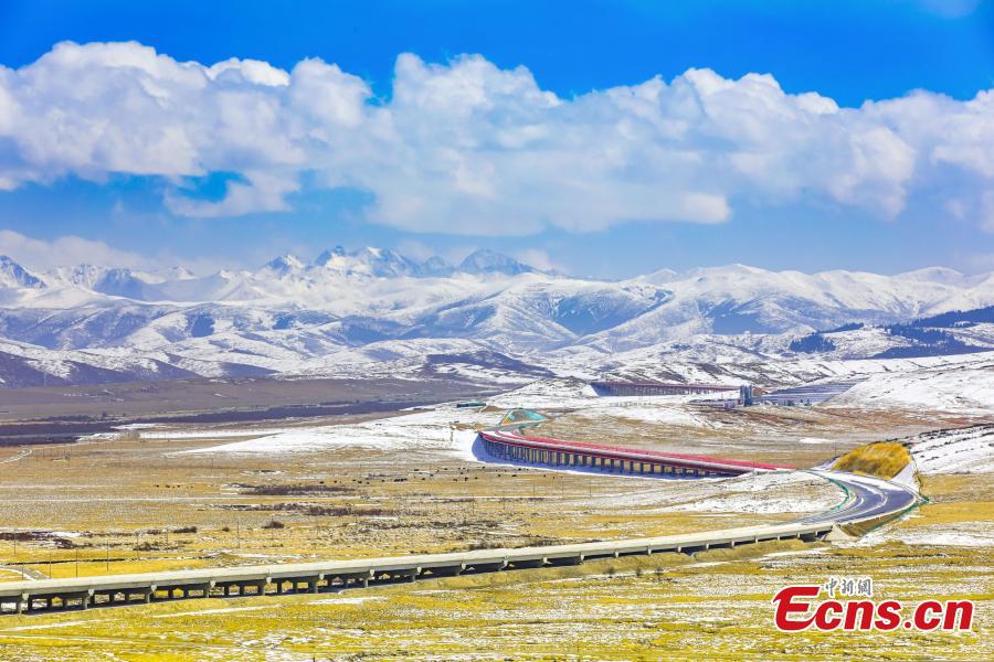 The Jiuma expressway winds through a vast grassland with snowy mou, looking like a dragon in Hongyuan County, Aba Tibetan and Qiang Autonomous Prefecture, southwest China's Sichuan Province, Mar. 8, 2025. (Photo: Xinhua)