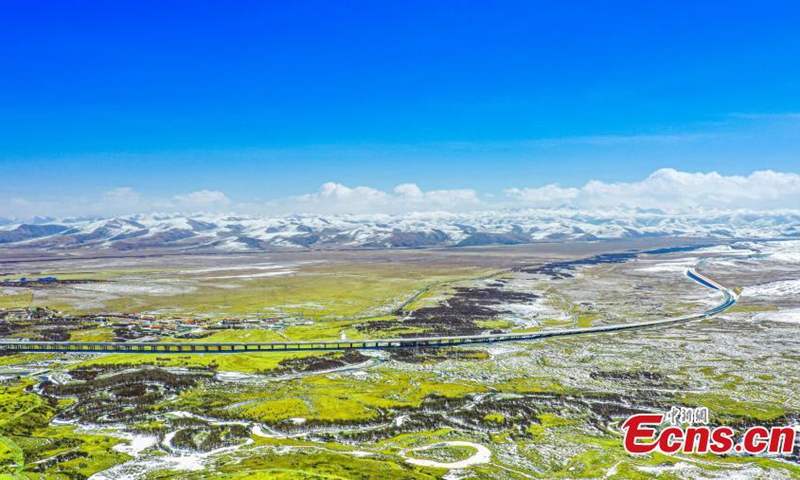 The Jiuma expressway winds through a vast grassland with snowy mou, looking like a dragon in Hongyuan County, Aba Tibetan and Qiang Autonomous Prefecture, southwest China's Sichuan Province, Mar. 8, 2025. (Photo: Xinhua)