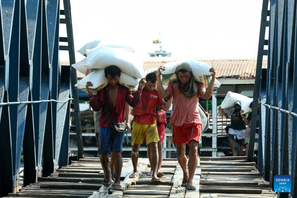 Workers unload bags of rice from a cargo boat at a jetty in Yangon, Myanmar, March 11, 2025. Myanmar's exports of rice and broken rice in the first 11 months of the 2024-25 fiscal year reached over 2.37 million tons, according to the Myanmar Rice Federation on Tuesday. (Photo: Xinhua)