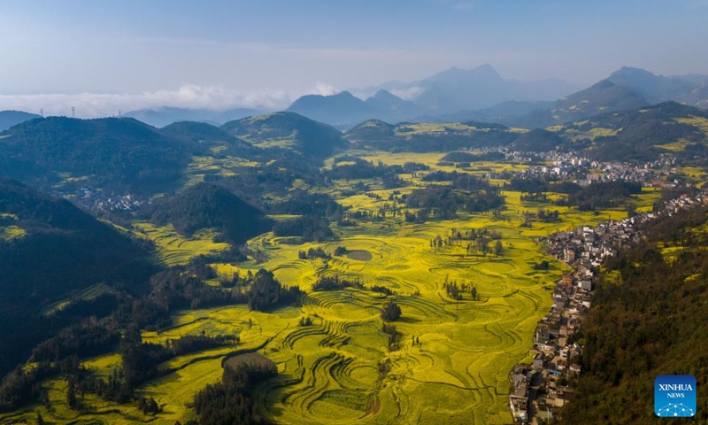 An aerial drone photo shows cole flower fields in Luoping County, southwest China's Yunnan Province, March 11, 2025. (Photo: Xinhua)