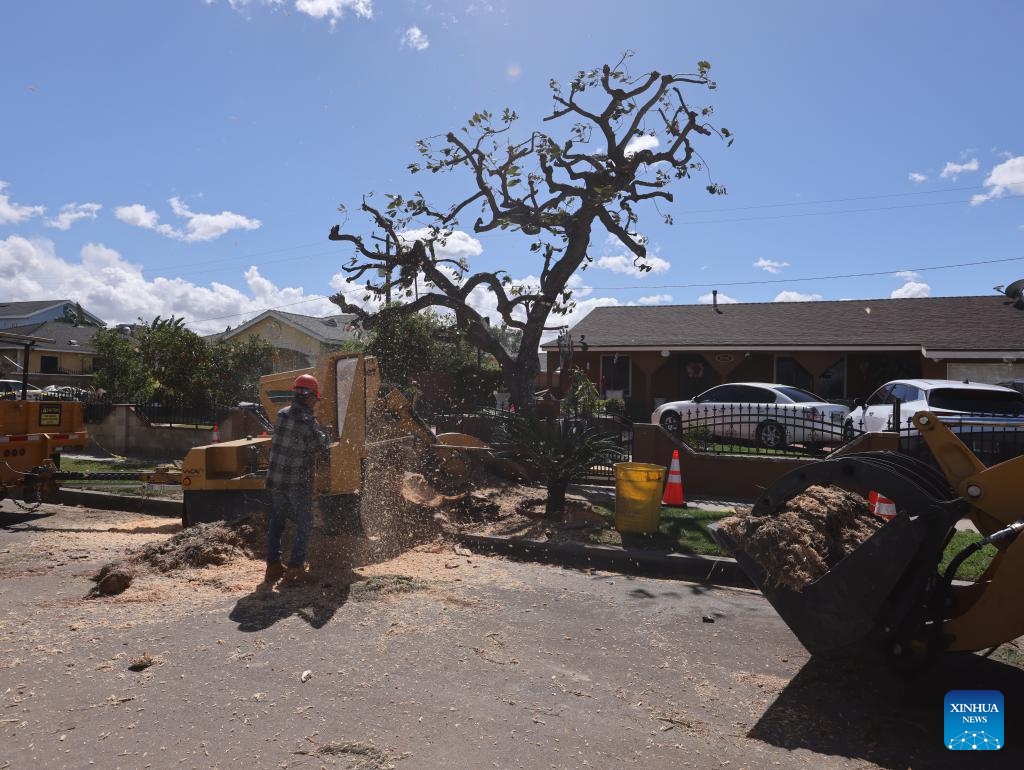 A worker removes debris after a tornado in Pico Rivera, Los Angeles, California, the United States, on March 13, 2025. A tornado ripped through Los Angeles County, Southern California, early Thursday morning, the U.S. National Weather Service (NWS) confirmed. The tornado caused exterior damage to homes and cars, and snapped multiple trees, said NWS. (Photo: Xinhua)