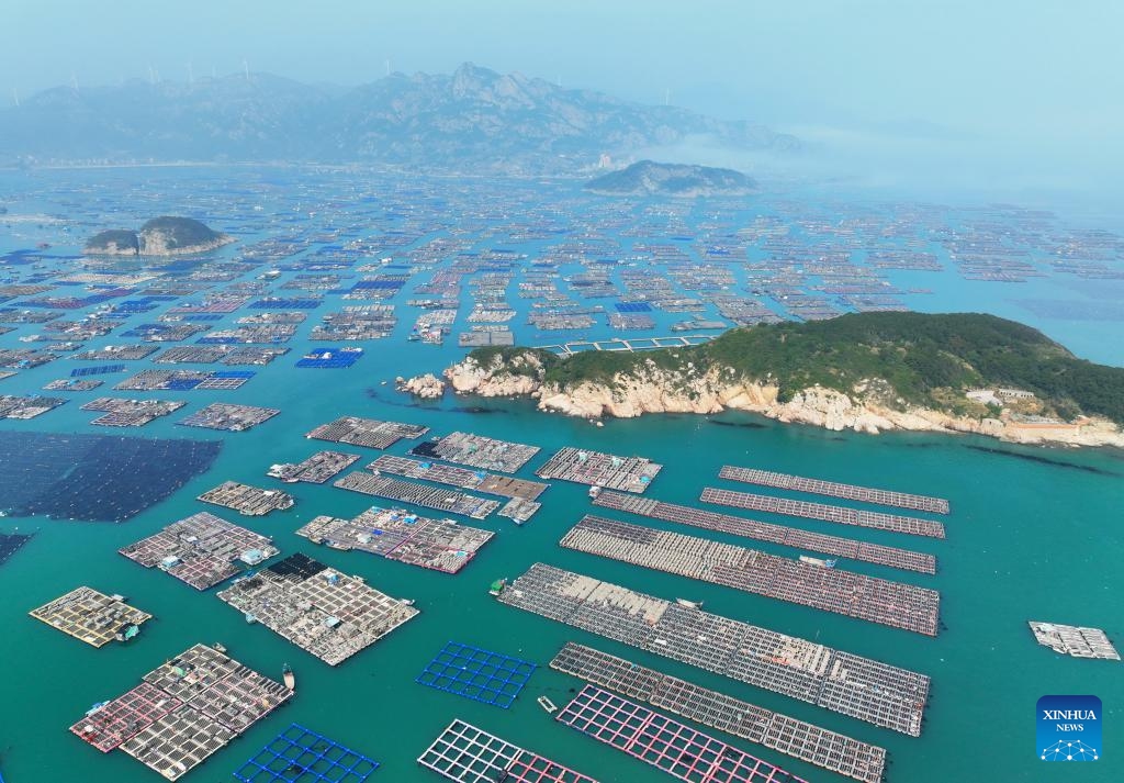 An aerial drone photo shows a view of an abalone breeding area in Lianjiang County, southeast China's Fujian Province, March 12, 2025. As the weather warms up, fishermen in Lianjiang start abalone farming and sowing. (Photo: China News Service)