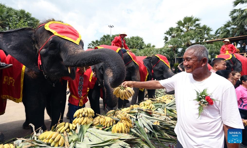 Elephants eat fruits during an elephant buffet marking the Thai National Elephant Day at Nong Nooch Tropical Garden in Pattaya, Thailand, March 13, 2025. Thai National Elephant Day is celebrated on March 13 annually in Thailand. (Photo: Xinhua)