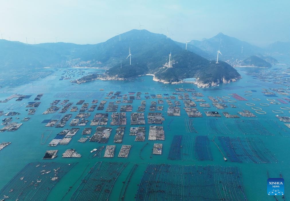 An aerial drone photo shows a view of an abalone breeding area in Lianjiang County, southeast China's Fujian Province, March 12, 2025. As the weather warms up, fishermen in Lianjiang start abalone farming and sowing. (Photo: China News Service)