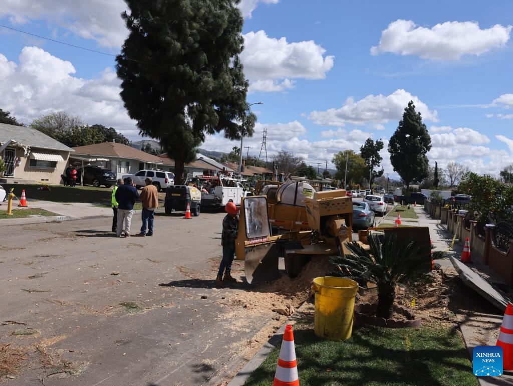 People work on a street after a tornado in Pico Rivera, Los Angeles, California, the United States, on March 13, 2025. A tornado ripped through Los Angeles County, Southern California, early Thursday morning, the U.S. National Weather Service (NWS) confirmed. The tornado caused exterior damage to homes and cars, and snapped multiple trees, said NWS. (Photo: Xinhua)