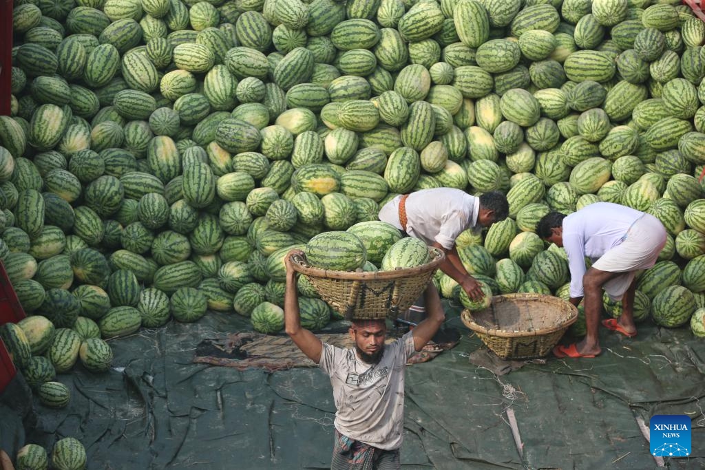 Workers unload watermelons from boats at Sadarghat terminal in Dhaka, Bangladesh, March 16, 2025. (Photo: Xinhua)