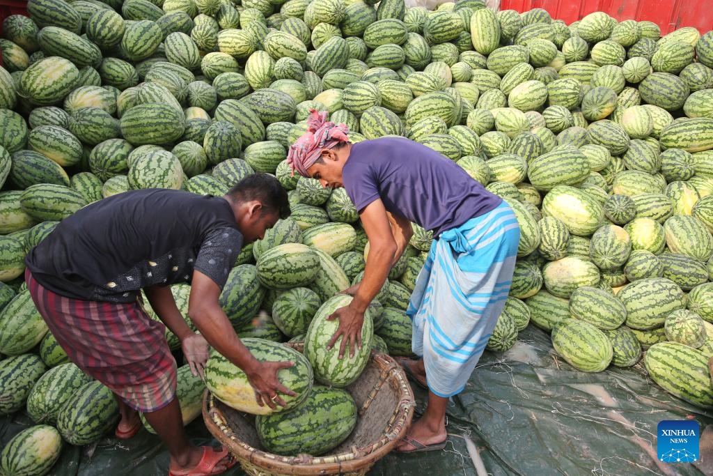 Workers unload watermelons from boats at Sadarghat terminal in Dhaka, Bangladesh, March 16, 2025. (Photo: Xinhua)