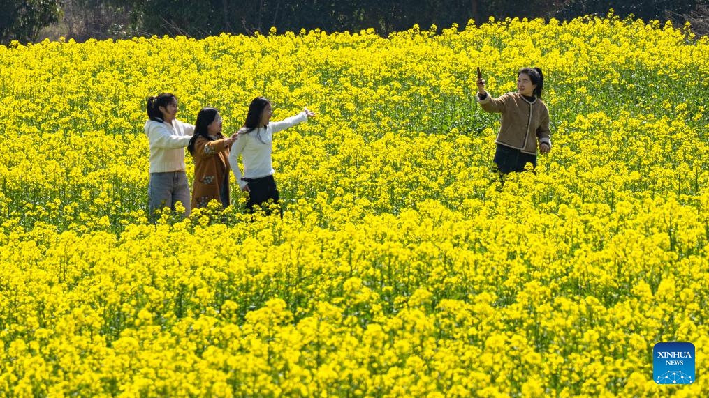 Tourists take pictures of blossoms at a park in Xiaogan City, central China's Hubei Province, March 18, 2025. (Photo: Xinhua)