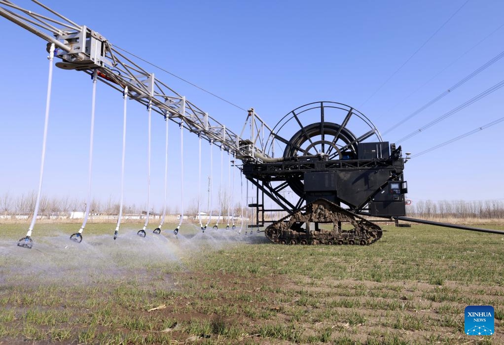 A self-propelled sprinkler equipment conducts irrigation in a winter wheat field in Dongtianzhuang Town, Fengnan District of Tangshan, north China's Hebei Province, March 17, 2025. (Photo: Xinhua)