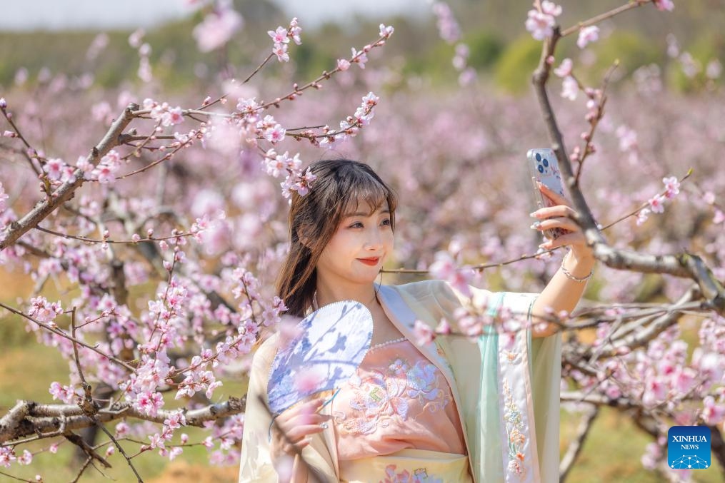 A tourist takes selfies with blossoms at a park in Xiaogan City, central China's Hubei Province, March 18, 2025. (Photo: Xinhua)