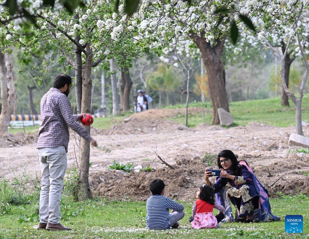 People enjoy the spring scenery in Islamabad, Pakistan, on March 19, 2025. (Photo: Xinhua)