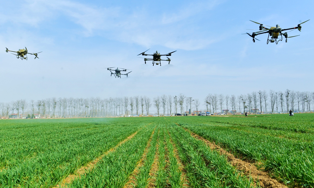 Drones carry out plant protection operations at a wheat planting base in Xiayi county, Central China's Henan Province, on March 13, 2025. Photo: VCG