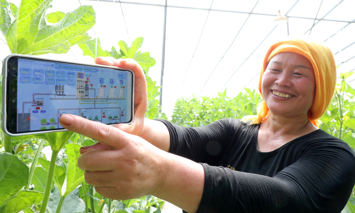 A farmer manages greenhouse vegetables using a 