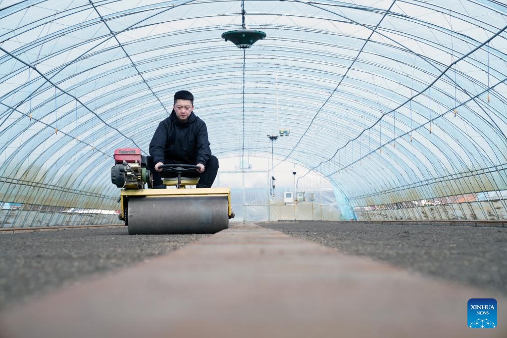 A staff member prepares the seedbed soil at a greenhouse of Youyi Farm Co., Ltd. under Beidahuang Group in Shuangyashan City, northeast China's Heilongjiang Province, March 19, 2025. Farming activities are in full swing across Heilongjiang, China's largest grain producing province, in early spring. (Photo: Xinhua)