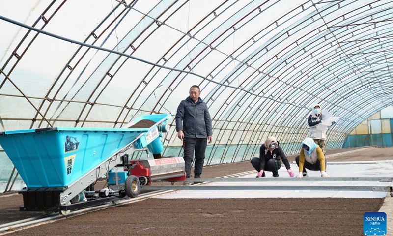 Farmers position seedling trays and cover them with soil at a greenhouse of Youyi Farm Co., Ltd. under Beidahuang Group in Shuangyashan City, northeast China's Heilongjiang Province, March 19, 2025. Farming activities are in full swing across Heilongjiang, China's largest grain producing province, in early spring. (Photo: Xinhua)