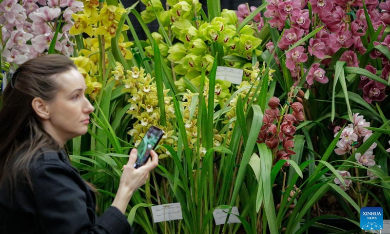 A woman views orchids at the Vancouver Orchid Society's 2025 Spring Orchid Show and Sale held at VanDusen Botanical Garden in Vancouver, British Columbia, Canada, March 22, 2025. With hundreds of exotic orchids from around the world on display and for sale, this annual show is held here from Saturday to Sunday. Photo: Xinhua