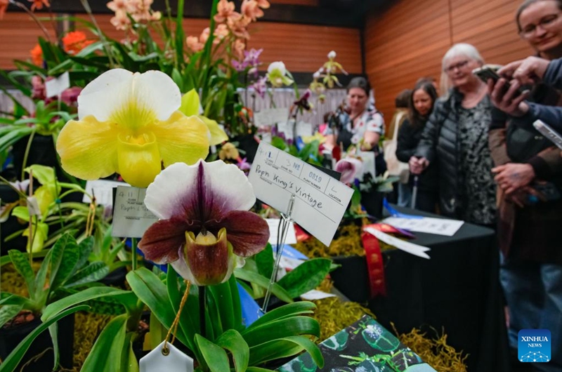 People view orchids at the Vancouver Orchid Society's 2025 Spring Orchid Show and Sale held at VanDusen Botanical Garden in Vancouver, British Columbia, Canada, March 22, 2025. With hundreds of exotic orchids from around the world on display and for sale, this annual show is held here from Saturday to Sunday. Photo: Xinhua