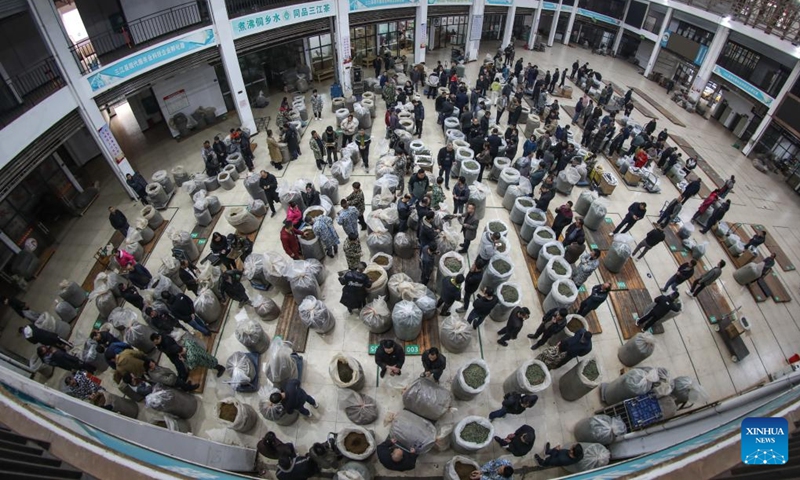 This photo shows a tea trading market in Sanjiang Dong Autonomous County, south China's Guangxi Zhuang Autonomous Region, March 22, 2025. Photo: Xinhua