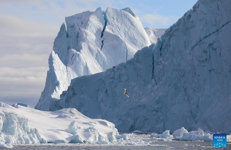 Icebergs are seen at the Disko Bay close to Ilulissat, Greenland, an autonomous territory of Denmark, March 22, 2025. Photo: Xinhua
