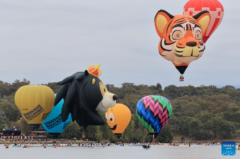 Hot air balloons fly over the Lake Burley Griffin during the annual Canberra Balloon Spectacular in Canberra, Australia, March 23, 2025. Photo: Xinhua