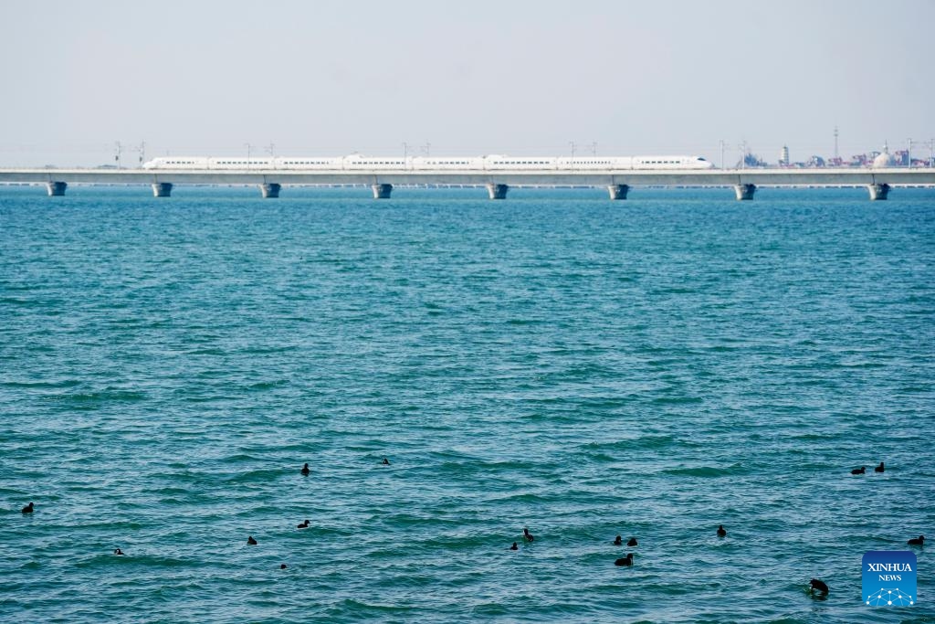 Waterfowls are pictured on Yuandang Lake in east China on March 17, 2025. Through joint protection and governance, the lake has now become a tourist attraction. (Photo: Xinhua)