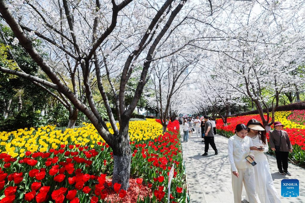 People enjoy leisure time at a park in Keqiao District of Shaoxing, east China's Zhejiang Province, March 24, 2025. (Photo: Xinhua)