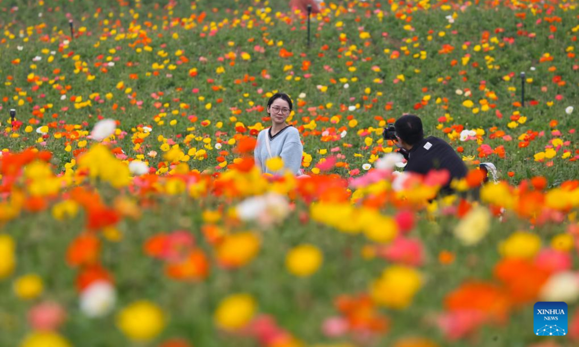 Tourists take photos in Longshanhu Village, Baitu Town of Jurong City, east China's Jiangsu Province, April 4, 2025. Qingming Festival, or Tomb-Sweeping Day, falls on April 4 this year. It is a traditional Chinese festival for people to pay tribute to the dead and worship their ancestors. The holiday also provides a short break for Chinese citizens as they engage in outdoor activities and sightseeing. (Photo by Zhong Xueman/Xinhua)