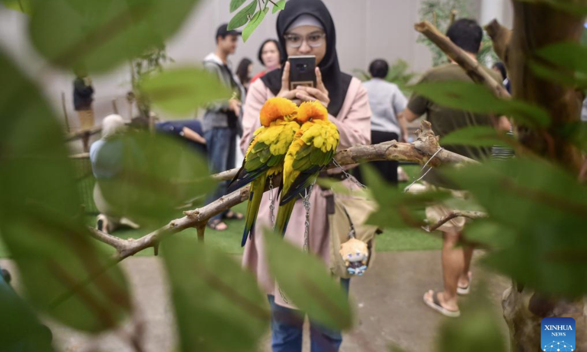 A woman takes pictures of sleeping parrots during Pet Fest 2025 in Tangerang, Banten, Indonesia, May 4, 2025. The event is being held here from May 2 to May 4, featuring various activities including pet lover community sessions and pet product displays. (Xinhua/Agung Kuncahya B.)