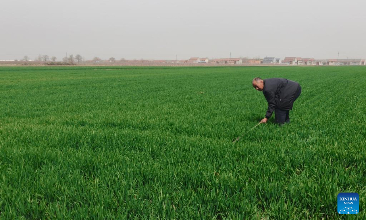 Ding Chengmin inspects irrigation facilities in a field in Ronghe Township of Wanrong County in Yuncheng City, north China's Shanxi Province, March 26, 2025. (Xinhua)