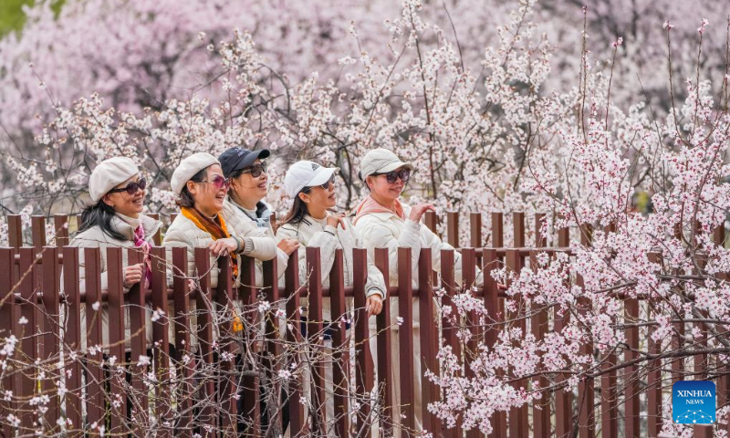 Tourists enjoy the view of peach blossoms in Nyingchi, southwest China's Xizang Autonomous Region, April 2, 2025. As the weather warms up, peach blossoms in Nyingchi are in full bloom, attracting numerous tourists. (Xinhua/Tenzin Nyida)