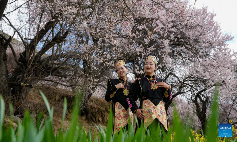 Tourists wearing traditional costumes pose for photos among peach blossoms in Nyingchi, southwest China's Xizang Autonomous Region, April 3, 2025. As the weather warms up, peach blossoms in Nyingchi are in full bloom, attracting numerous tourists. (Xinhua/Jigme Dorje)