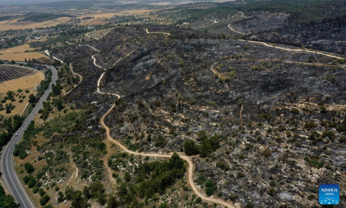 An aerial drone photo taken on April 24, 2025 shows burned trees in a nature reserve near Jerusalem after a massive wildfire. (Photo: Xinhua)