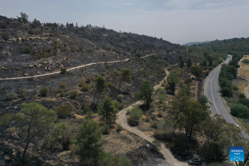 An aerial drone photo taken on April 24, 2025 shows burned trees in a nature reserve near Jerusalem after a massive wildfire. (Photo: Xinhua)