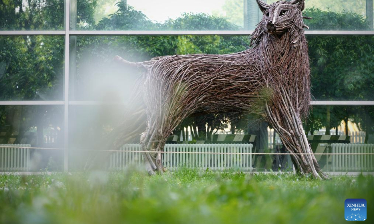 A lynx sculpture made of tree branches and other natural materials is seen at Lazienki Park in Warsaw, Poland, on May 6, 2025. The piece is part of a sculpture exhibition by Italian artist Rodolfo Liprandi in commemoration of the 25th anniversary of the founding of World Wildlife Fund Poland Office. (Photo by Jaap Arriens/Xinhua)