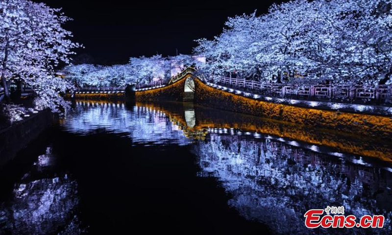 Breathtaking night scenery of cherry blossoms at the Yuantouzhu (Turtle Head Isle) scenic spot in Wuxi, east China's Jiangsu Province, March 25, 2025. (Photo: China News Service)