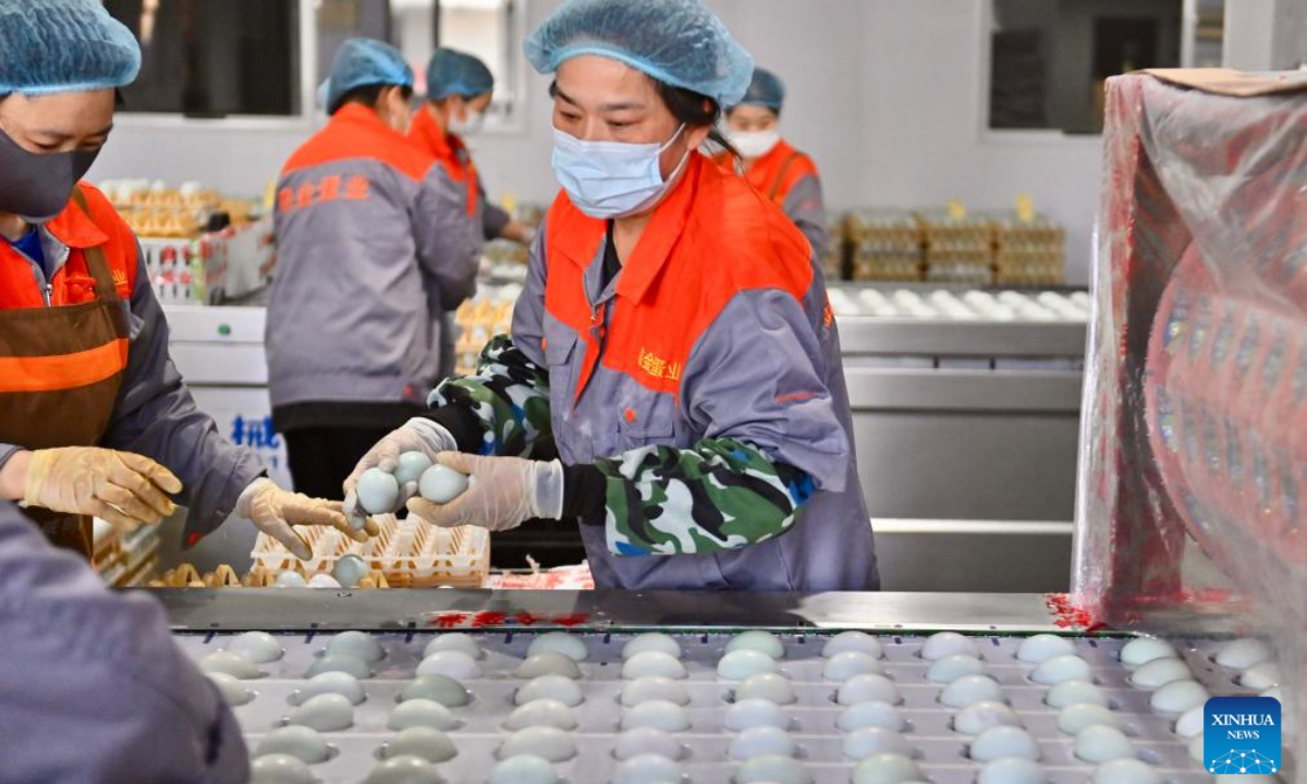 Workers put duck eggs onto a processing line at a factory in Liaoyang City, northeast China's Liaoning Province, April 24, 2025. In recent years, Liaoyang City has made efforts in advancing local agriculture industry by enhancing the added value of traditional animal husbandry. An industrial chain that covers standardized livestock farming, feed processing, egg products processing, offline sales and e-commerce sales has taken shape and boosted the increase of local farmers' income. (Xinhua)