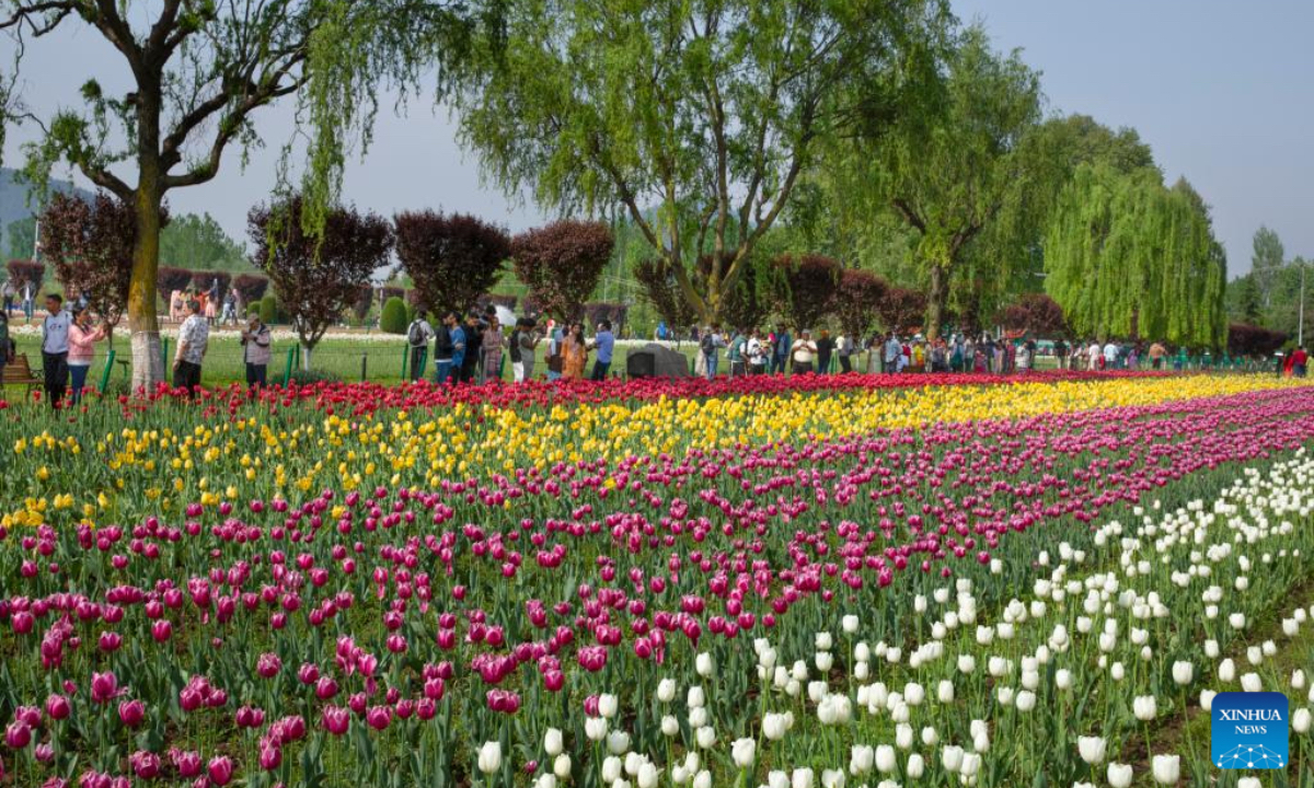 People visit a tulip garden in Srinagar city, the summer capital of Indian-controlled Kashmir, April 18, 2025. (Xinhua)