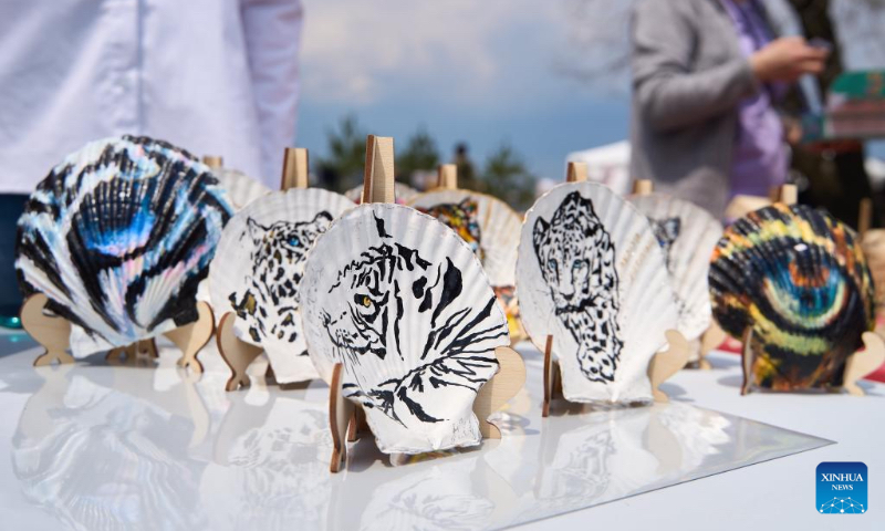 Seashells painted with Far Eastern leopard designs are pictured during a 