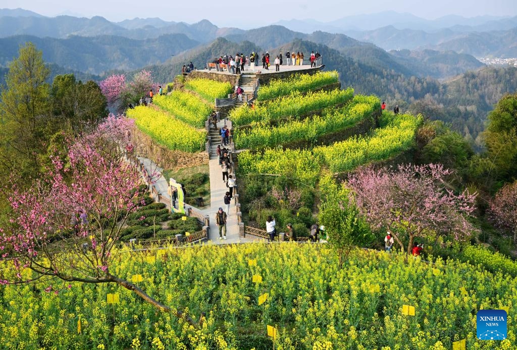 Visitors enjoy flowers at Shitan Village in Shexian County, Huangshan City of east China's Anhui Province, March 26, 2025. (Photo: Xinhua)