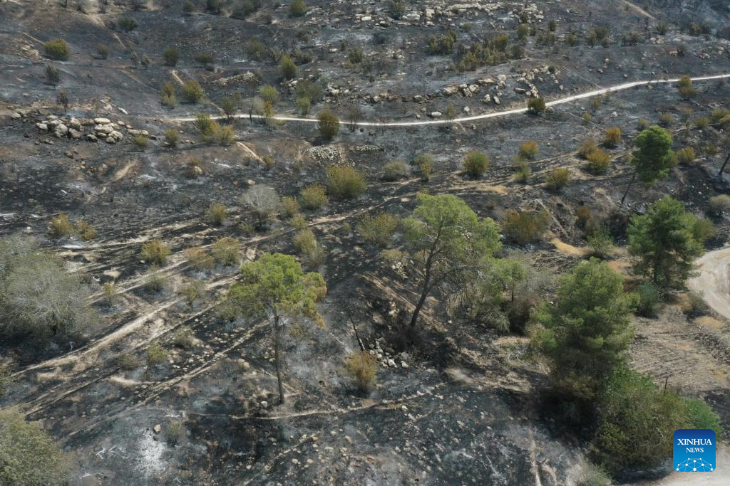 An aerial drone photo taken on April 24, 2025 shows burned trees in a nature reserve near Jerusalem after a massive wildfire. (Photo: Xinhua)