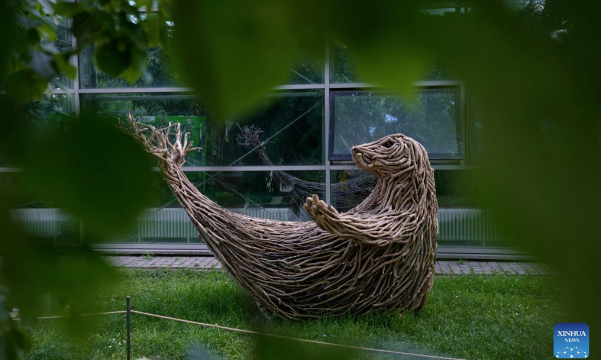 A seal sculpture made of tree branches and other natural materials is seen at Lazienki Park in Warsaw, Poland, on May 6, 2025. The piece is part of a sculpture exhibition by Italian artist Rodolfo Liprandi in commemoration of the 25th anniversary of the founding of World Wildlife Fund Poland Office. (Photo by Jaap Arriens/Xinhua)