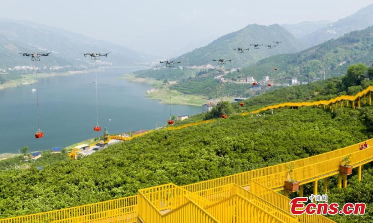 Drones transport navel oranges at a farmland in Zigui, central China's Hubei Province. Photo: China News Service