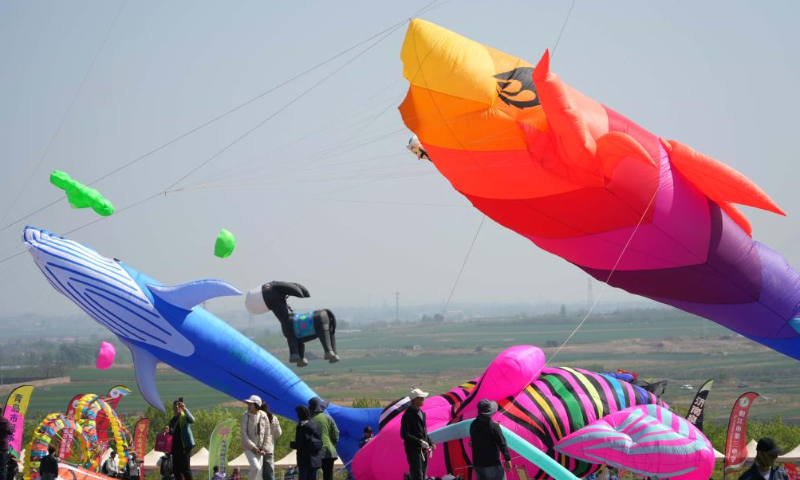 Kite fanciers fly kites at the 42nd Weifang International Kite Festival in Weifang, east China's Shandong Province, April 19, 2025. (Xinhua/Xu Suhui)