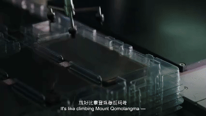 Photo: People's Daily Online