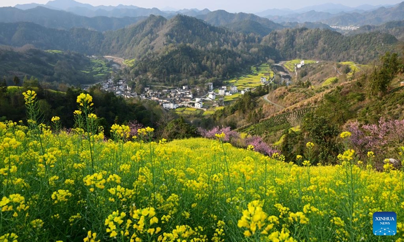 This photo taken on March 26, 2025 shows the spring scenery at Shitan Village in Shexian County, Huangshan City of east China's Anhui Province. (Photo: Xinhua)